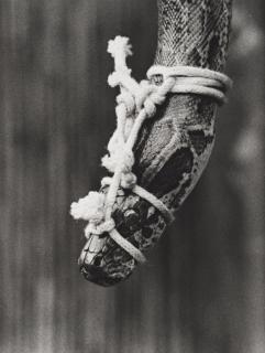 Christer Strömholm - \