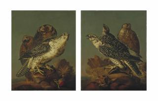 Christiaan Luyckx - Faucons Et Milans