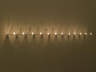 Christian Boltanski - Les Bougies (12) (\