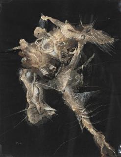 Christian D\'Orgeix - Untitled