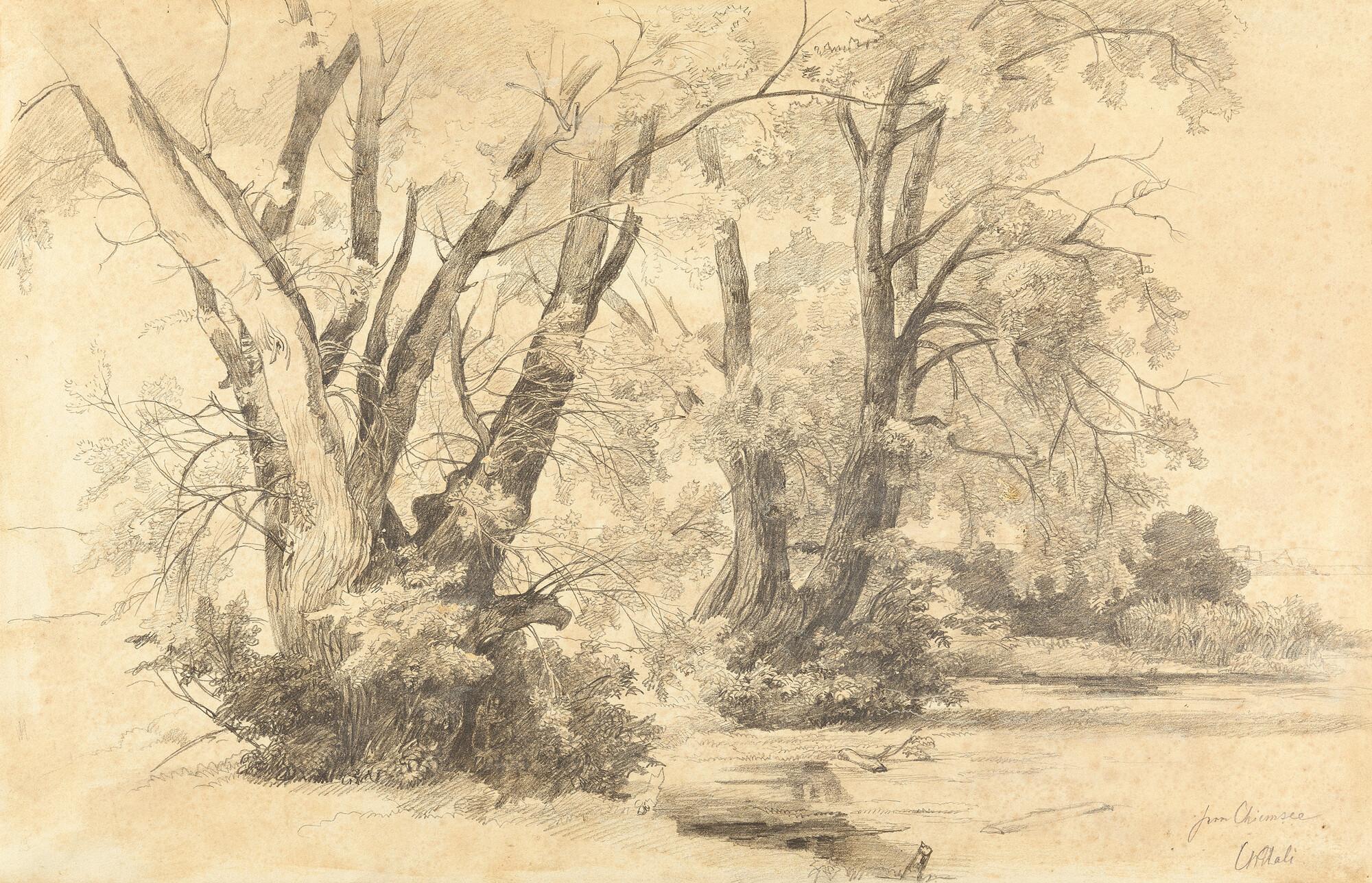 Christian Friedrich Mali - Bäume am Ufer des Chiemsees.