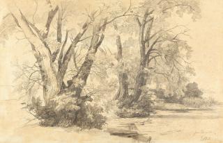 Christian Friedrich Mali - Bäume am Ufer des Chiemsees.