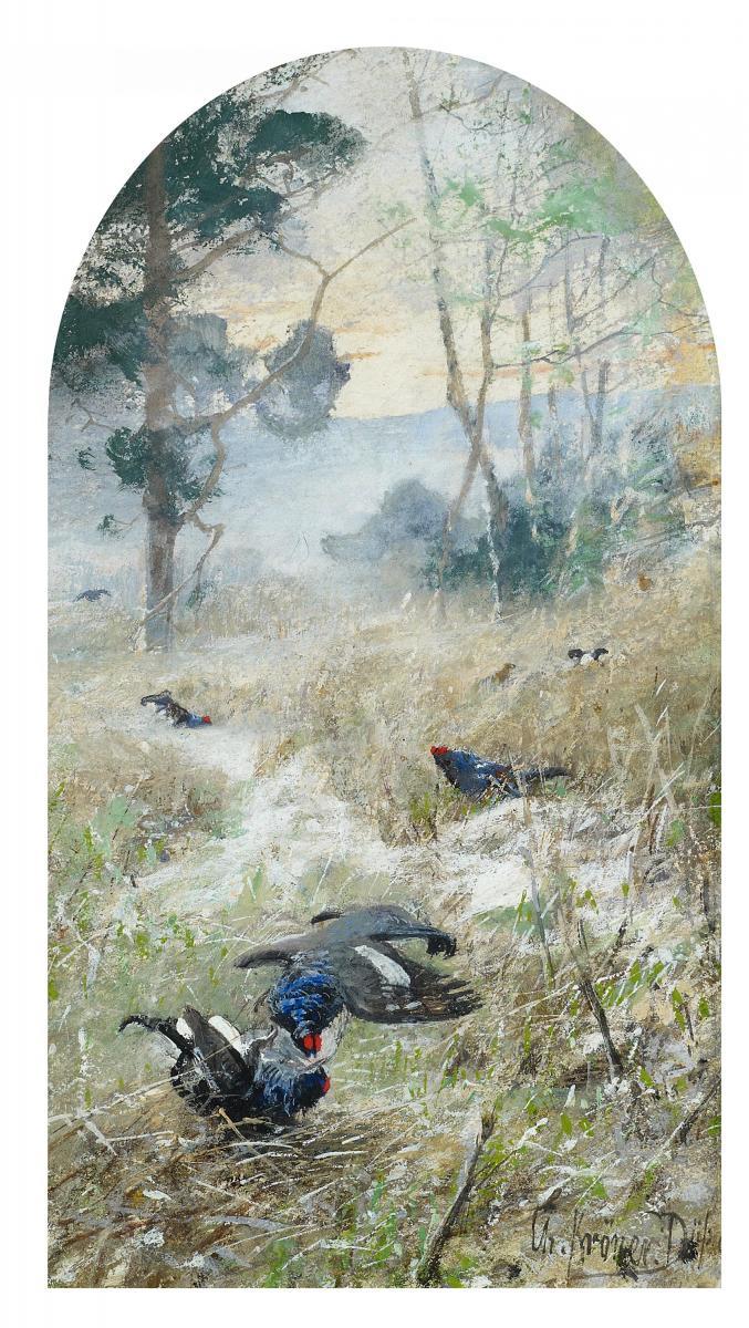 Christian Kröner - Birkhähne bei der Balz.