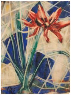 Christian Rohlfs - Amaryllis