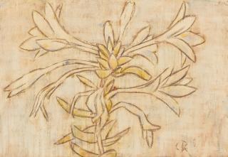 Christian Rohlfs - Funkie.