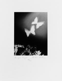 Christian Schad - 20 Schadographien zu »Gaspard de la nuit« von Aloysius Bertrand (1807-1841) oder Die Hochzeit der Romantik mit dem Geist Dadas