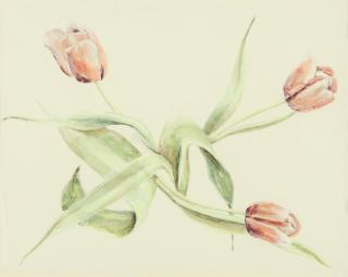 Christian Schad - Drei rosa-weiße Tulpen.
