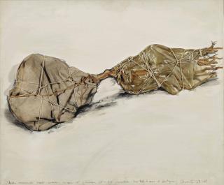 Christo - Arbre Empaquetée, Projet