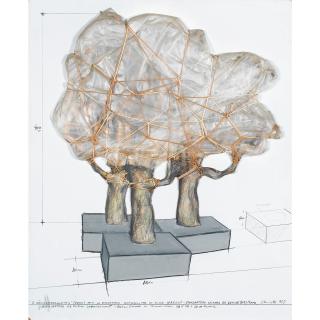 Christo - Trois Chênes Empaquetés (Projet Pour La Fondation Marguerite Et Aimé Maeght - Fondation St-Paul De Vence, (A.M.) France)