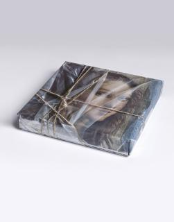 Christo - Wrapped DVD case (Detail from Raphael’s   The School of Athens, Fornarina/Margarita Luni)
