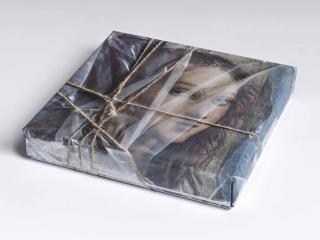 Christo - Wrapped DVD Case (Detail from Raphael’s The School of Athens, Fornarina/Margarita Luti)