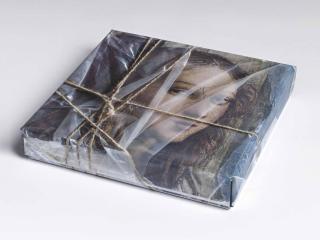 Christo - Wrapped DVD Case (Detail from Raphael’s The School of Athens, Fornarina/Margarita Luti)