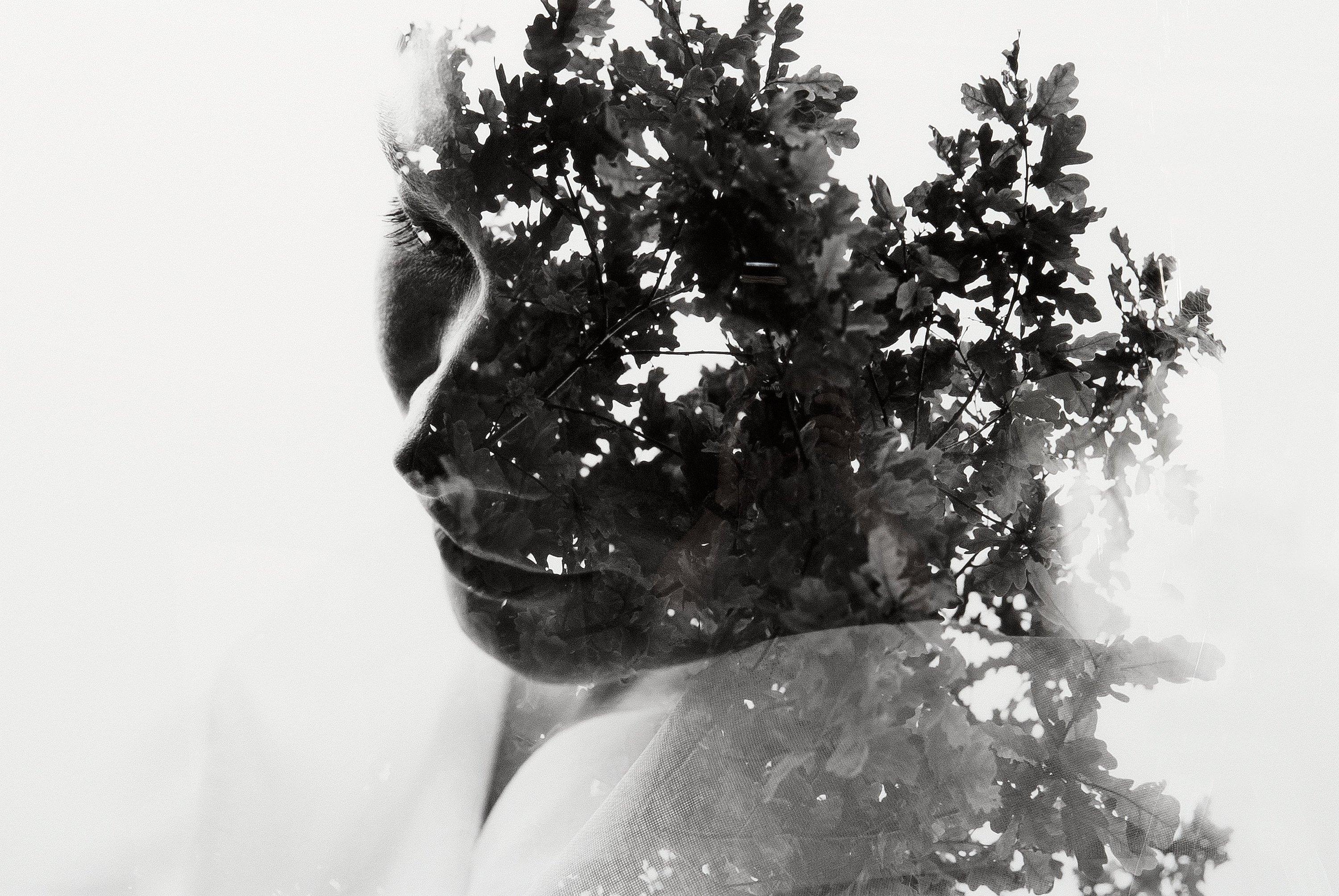 Christoffer Relander - \