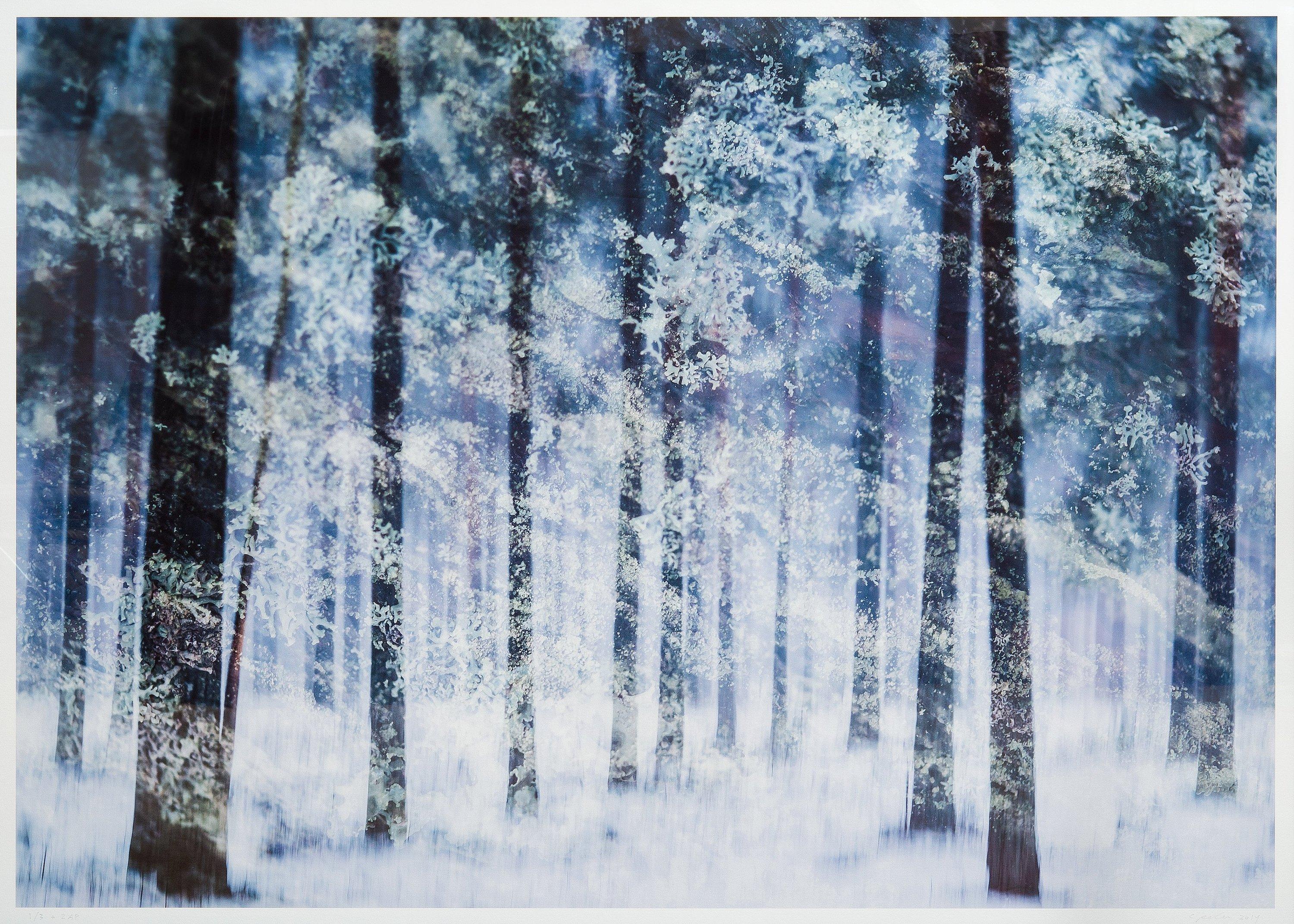 Christoffer Relander - \