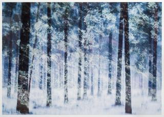 Christoffer Relander - \