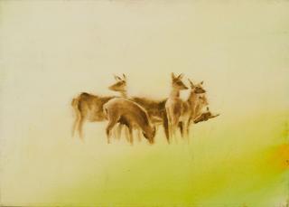 Christoph Knecht - \