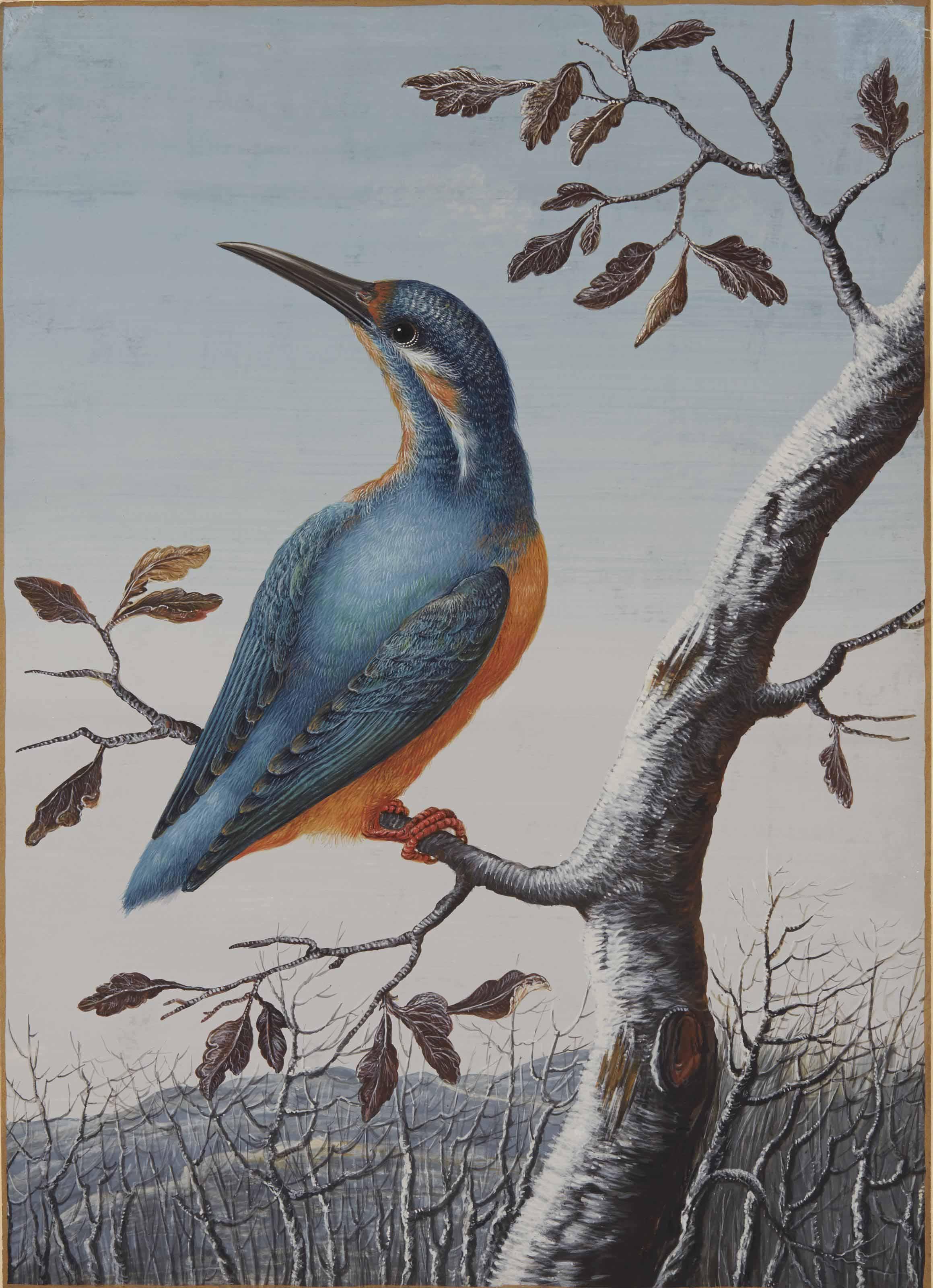 Christoph Ludwig Agricola - A Kingfisher