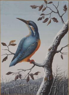 Christoph Ludwig Agricola - A Kingfisher