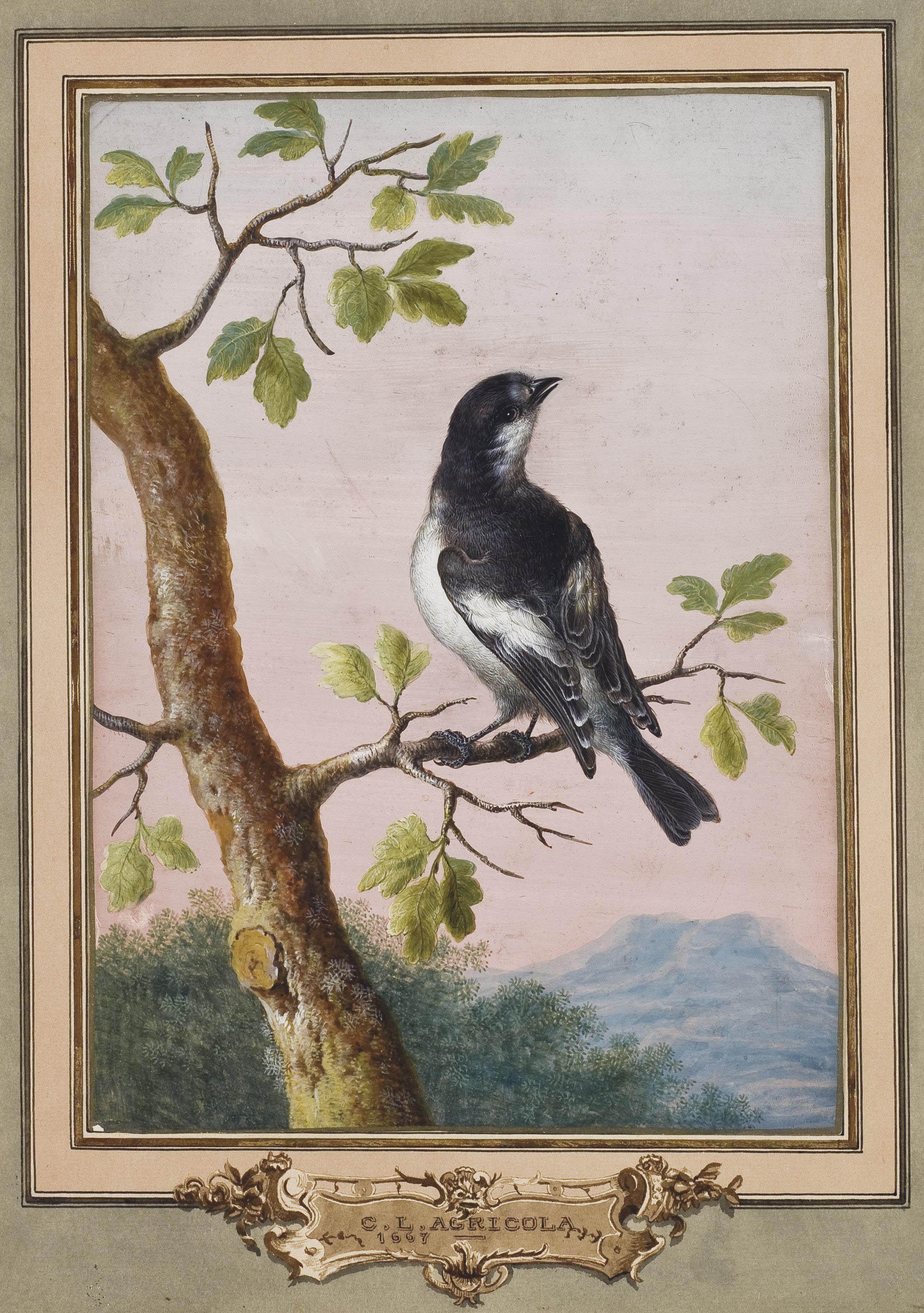 Christoph Ludwig Agricola - Gobemouche noir sur une branche de chêne