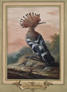 Christoph Ludwig Agricola - Huppe fasciée dans un paysage