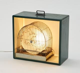 Christoph Rihs - Crowling Star.