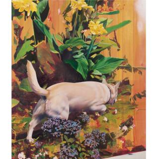 Christoph Schmidberger - Beverly Hills Dog