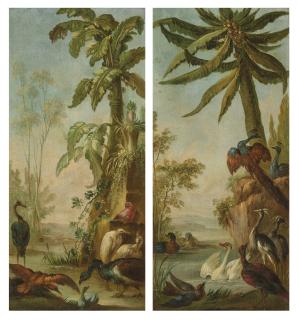 Christophe Huet - Animaux Exotiques