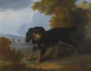 Christophe Huet - Portrait Of A King Charles Spaniel In A Landscape, Possibly Madame De Pompadour’S Mimi  