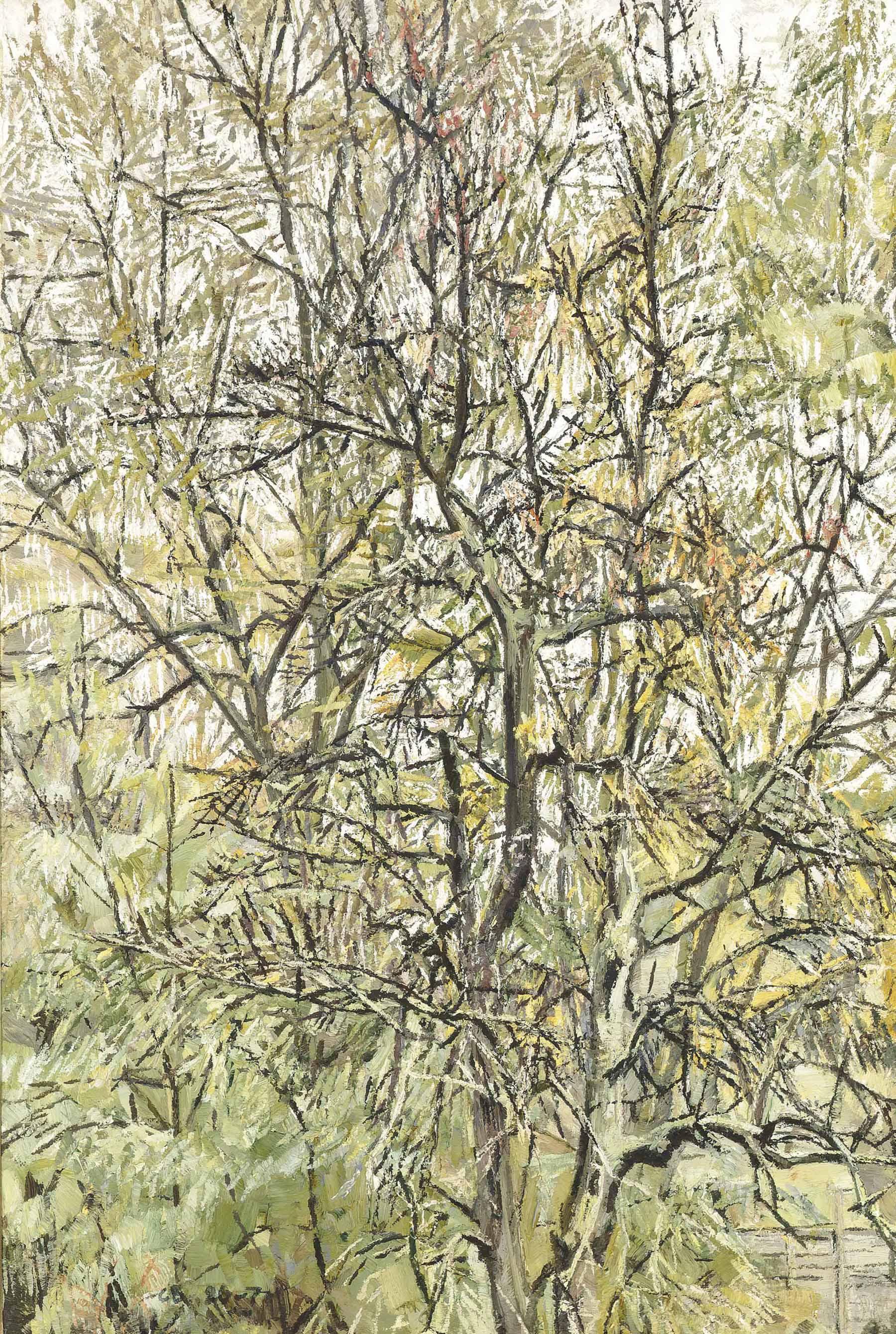 Christopher Bramham - Autumn Ii