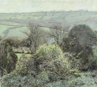 Christopher Bramham - Devon, November Morning in Sunshine