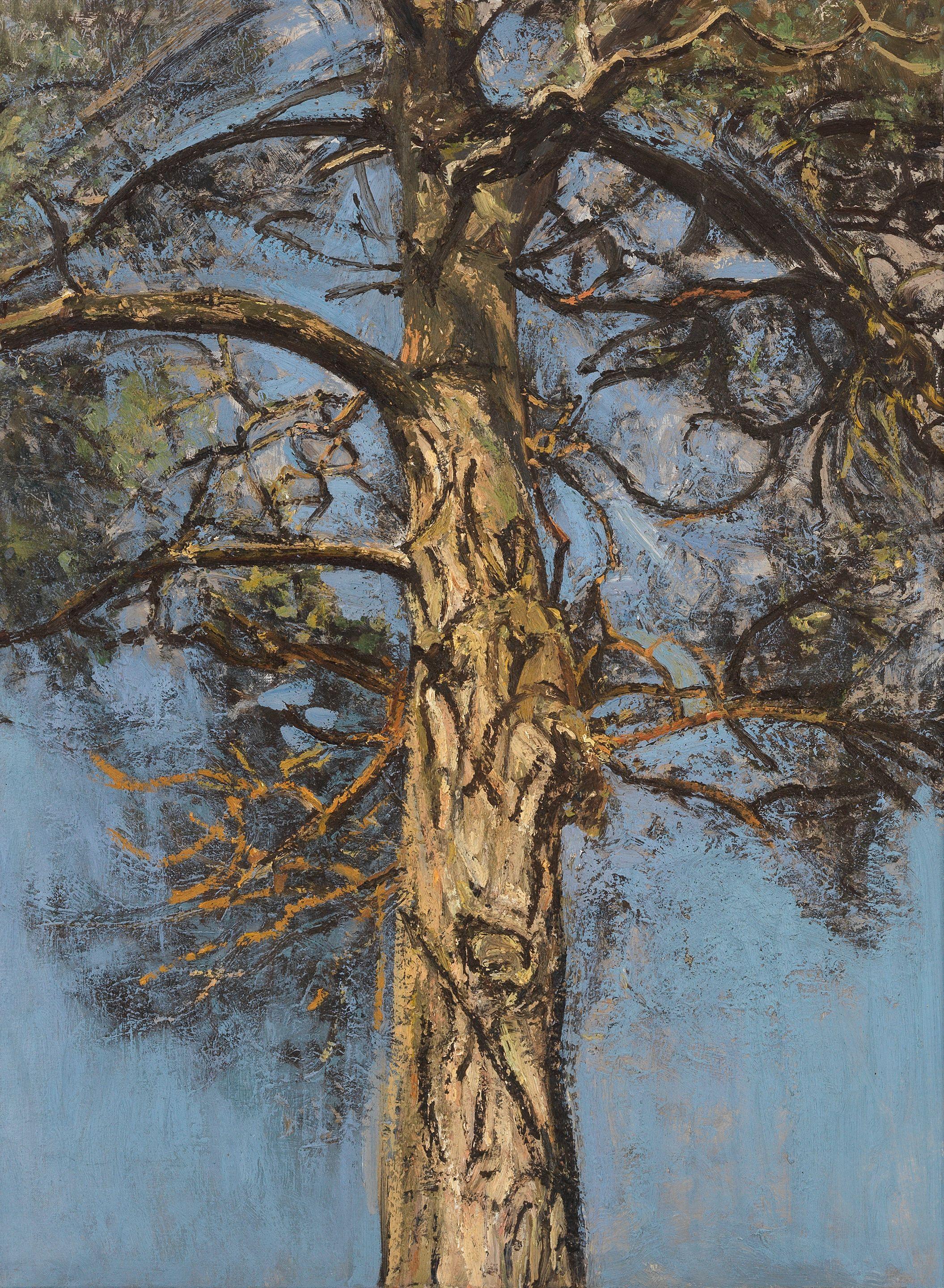 Christopher Bramham - Pine Tree I