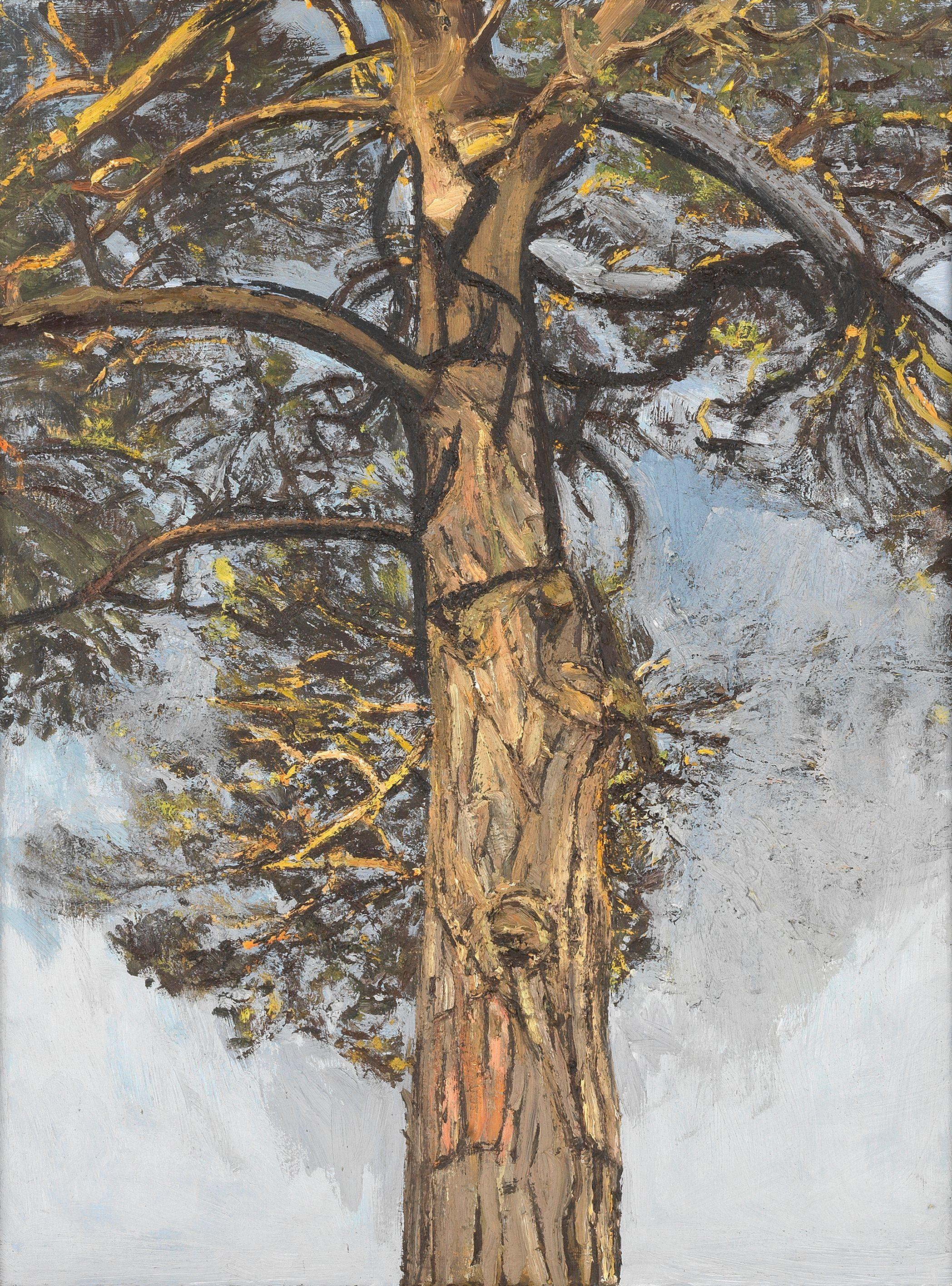 Christopher Bramham - Pine Tree III