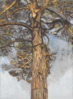 Christopher Bramham - Pine Tree III