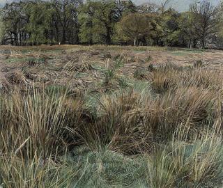 Christopher Bramham - Richmond Park, Spring, Early Morning