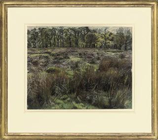 Christopher Bramham - Richmond Park, Spring, Evening