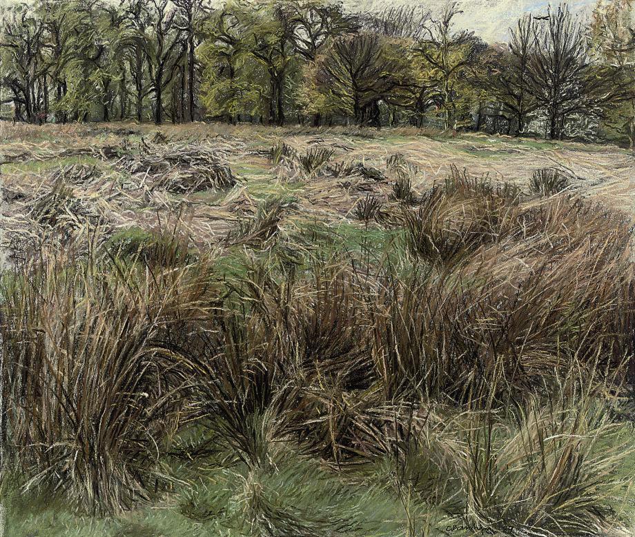 Christopher Bramham - Richmond Park, Spring I