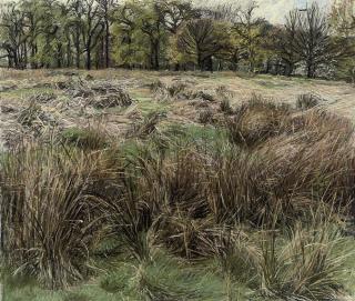 Christopher Bramham - Richmond Park, Spring I