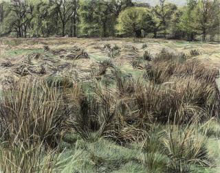 Christopher Bramham - Richmond Park, Spring II