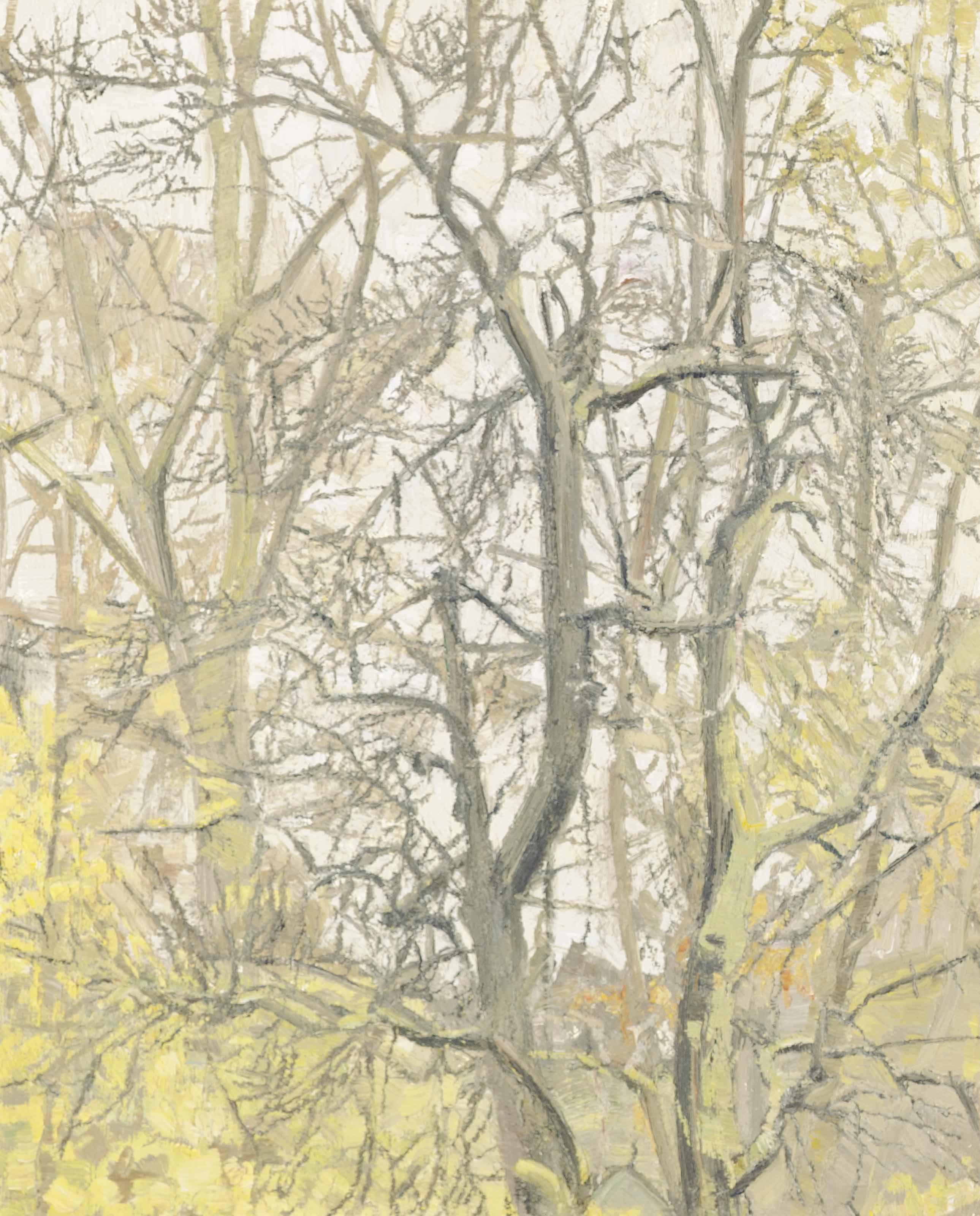 Christopher Bramham - Still Leaves On Ash