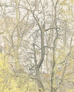 Christopher Bramham - Still Leaves On Ash