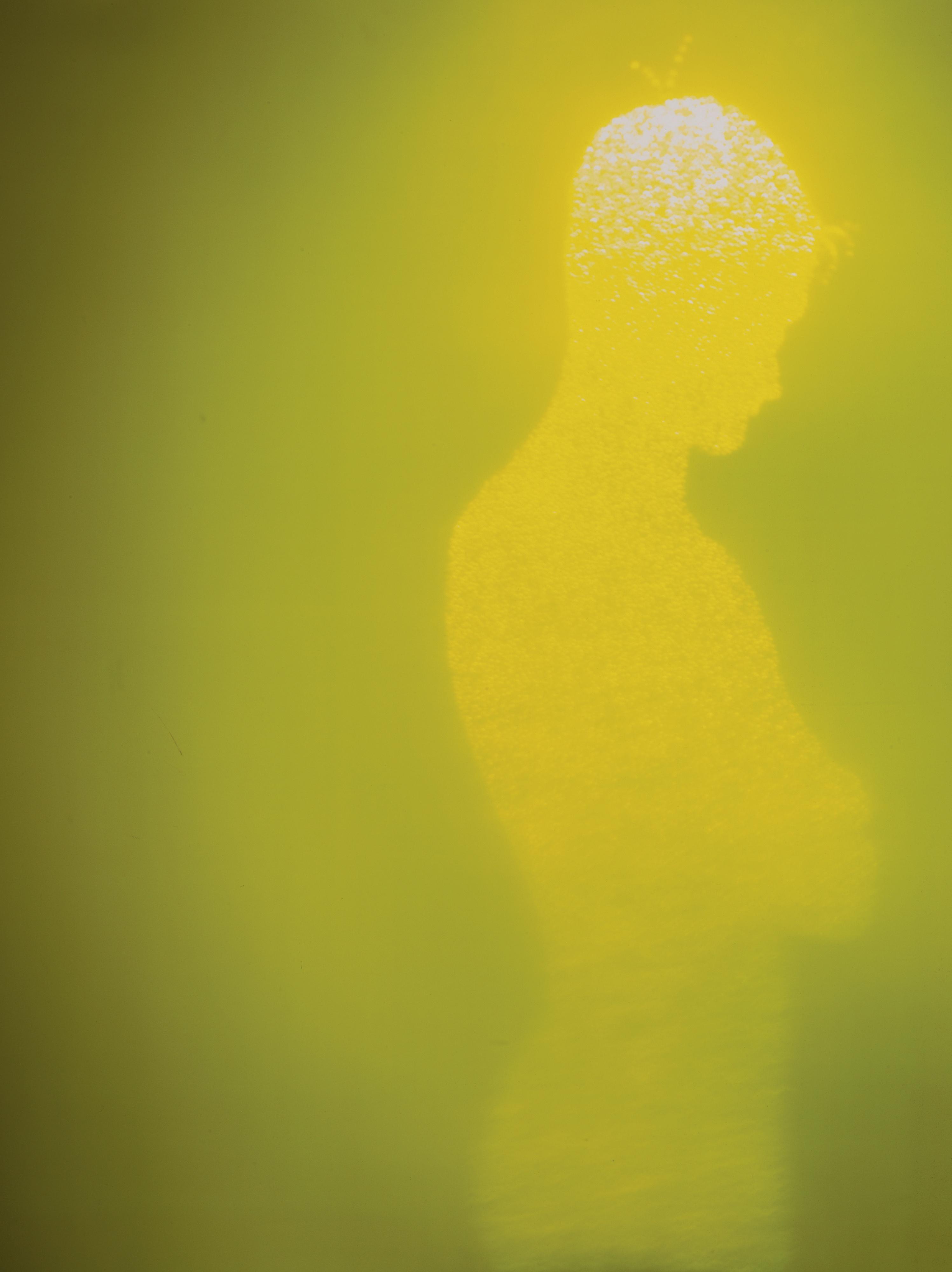 Christopher Bucklow - Guest (Nv6)