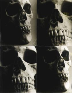 Christopher Makos - Four Skulls