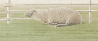 Christopher Prattb - The Sheep