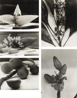 Christopher Williams - Selected Images From Angola To Vietnam*