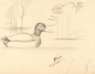 Christopher Wood - Duck and Swan, Regent\'s Park
