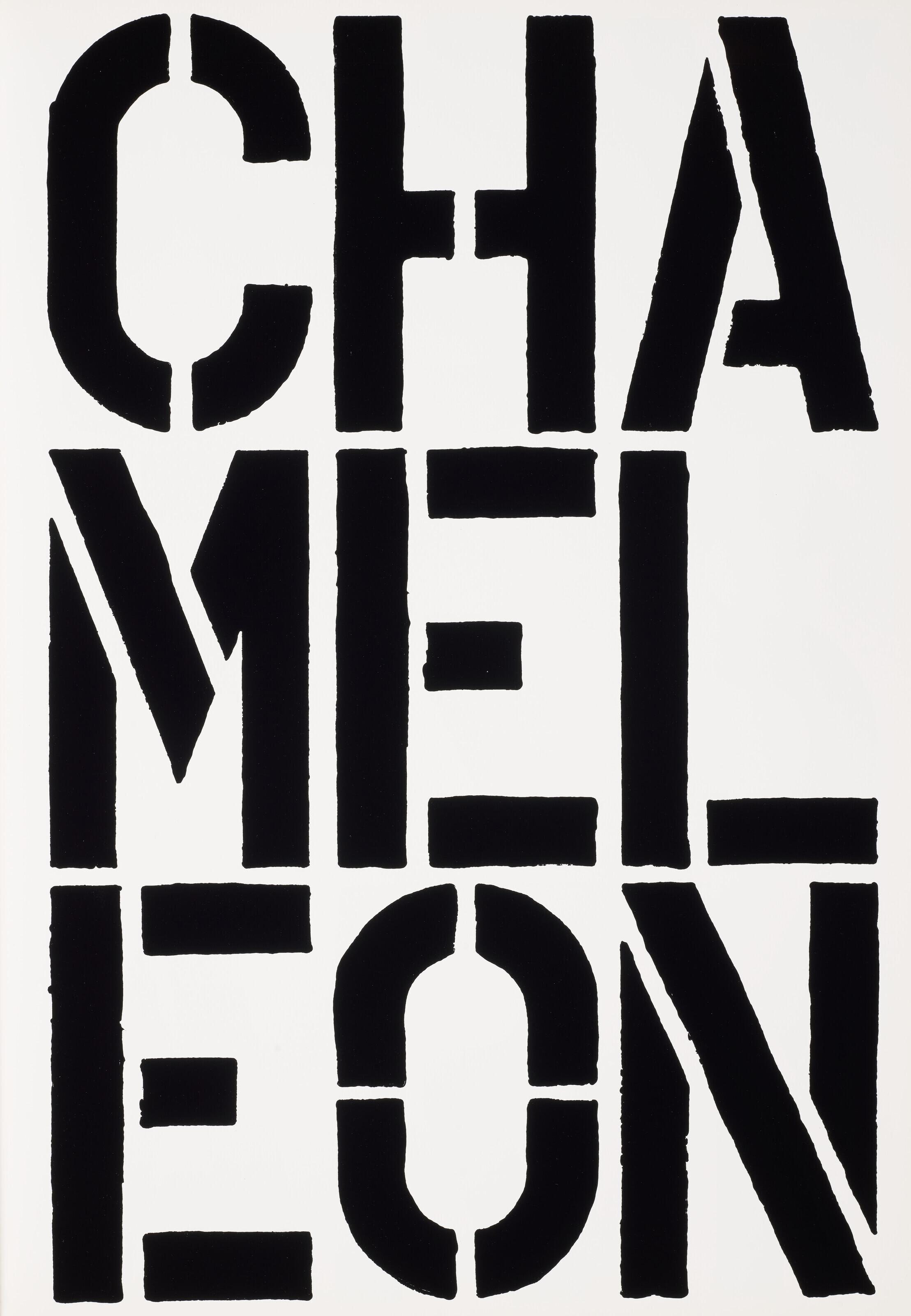 Christopher Wool - Black Book