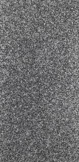 Christopher Wool - Flow State