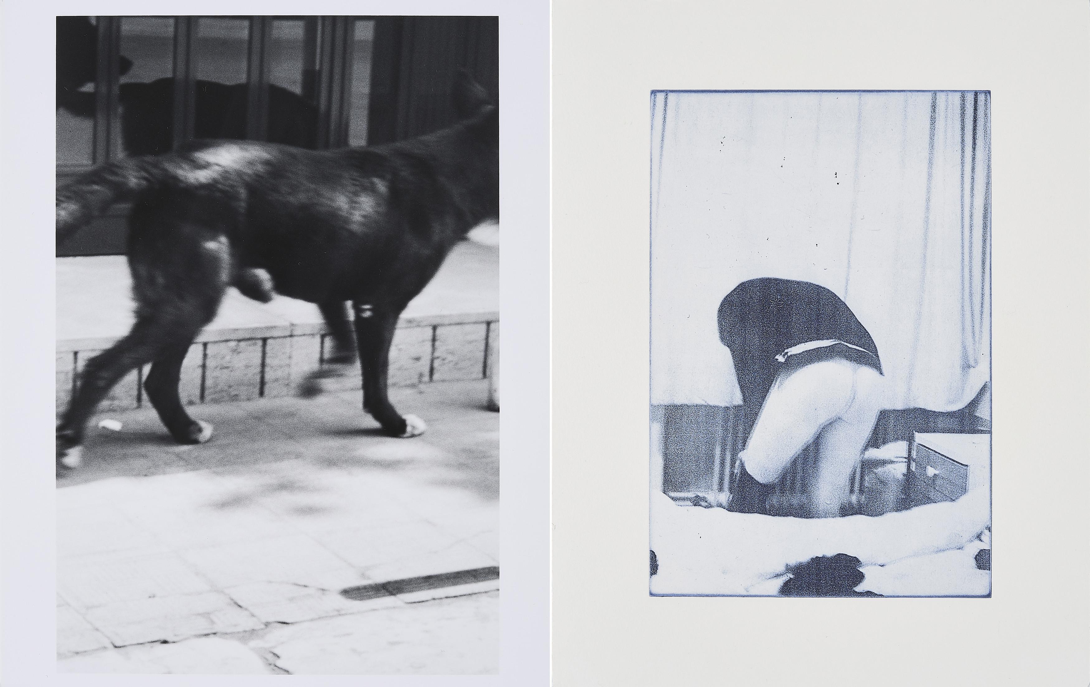 Christopher Wool - Konvolut von 2 Fotografien.