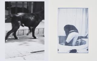 Christopher Wool - Konvolut von 2 Fotografien.