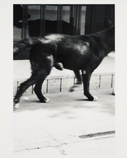 Christopher Wool - Ohne Titel (für Parkett 33).